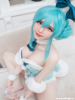 Sally Dorasnow NO.057  Miku bunnygir[20P/109M]